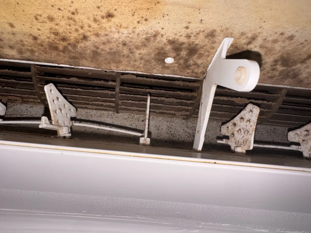 Mould and biofilm on internal surfaces