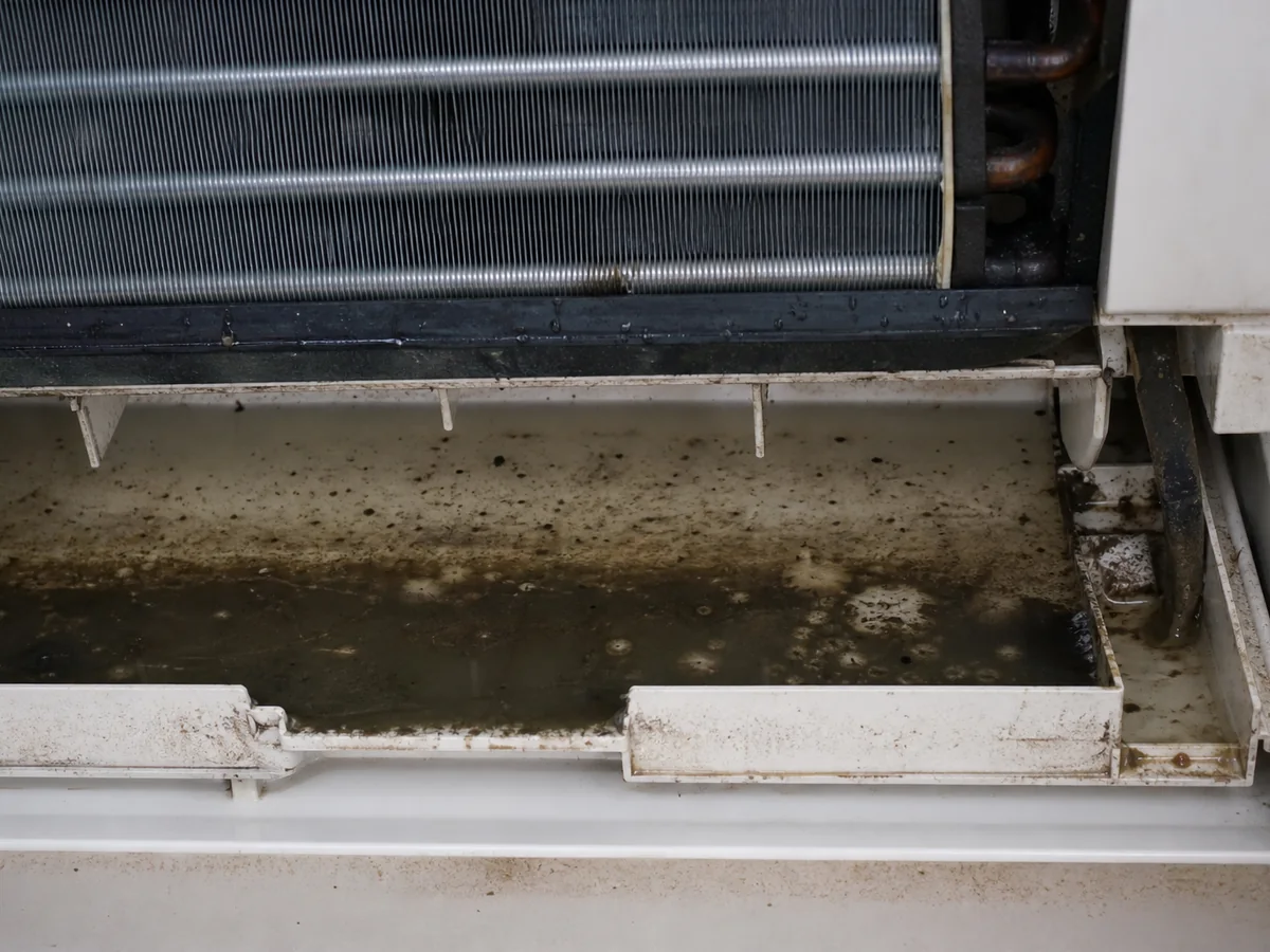 Drain tray and stagnant water inside the unit