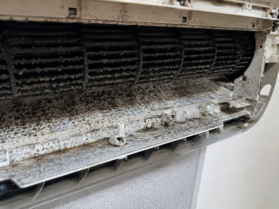 Inside the unit with dust and mould (before).
